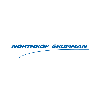 Northrop Grumman (NOC) - Icon