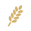 Wheat (WHEAT) - Icon