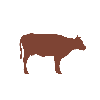 Live Cattle (LIVECATTLE) - Icon